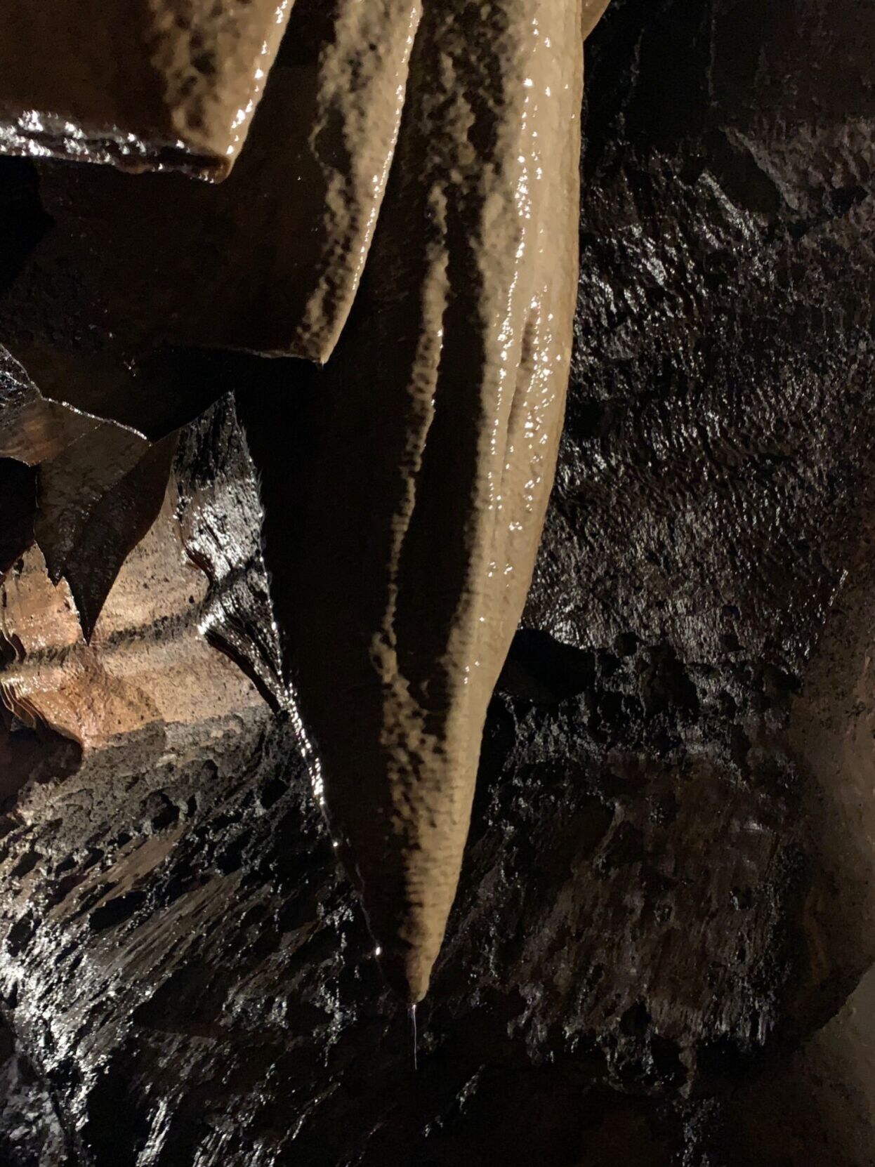 Niagara Cave stalactite.jpg